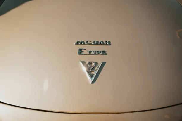 Untold Casino Aplicación Android/iOS